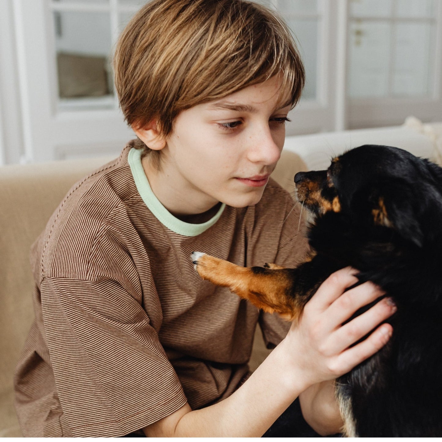Zivoca™ - Advanced Dog Calming Diffuser