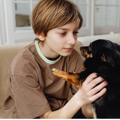 Zivoca™ - Advanced Dog Calming Diffuser